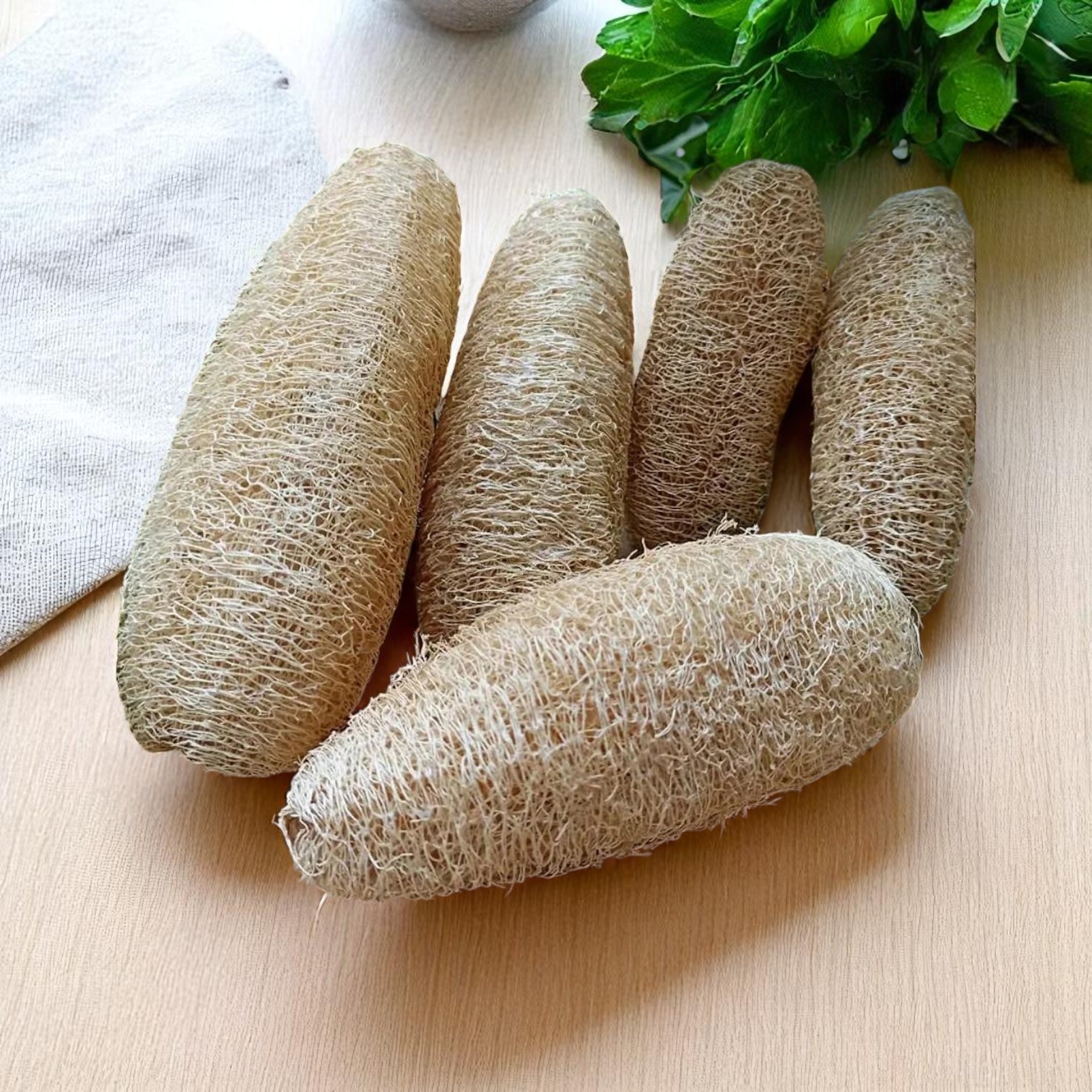 Natural Loofah